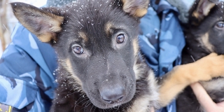 ������� ��������� ����� ���� ������ 7 ������