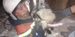 � ������ ��������� ������� �� 3-��������� ������� ��������