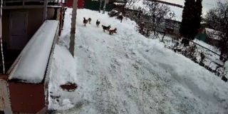 ��������� �������� �� ���������� ����� ����������� ����� � 6-� �����������