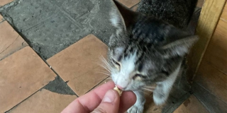 � �������� �� ����� ������ � 5-������ ������ �����