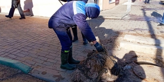 ���������� ������������ ����������� ������ ������� ���� �� ���������� �������