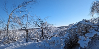 Саратовскую область накроют снегопады и морозы до -19 градусов