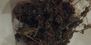 ������ �������� ������ �� 10 ��� ������ �� �������� 1,2 �� �������