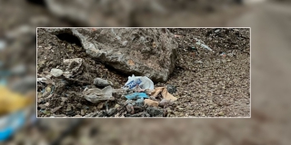 Жители 1-й Дачной жалуются на страшный мусорный полигон