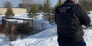 � �������� ����� ��������� ���� �� ������� ������ ��������� ����