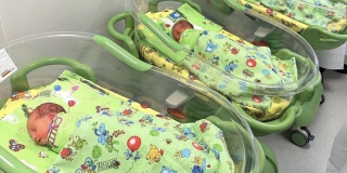 � ����������� ������� ����� ��������� ������������� ������� �� ���