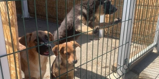 ������ �������� ������ � ������ ���� ����������� ����� � ������ � ��� 140 �����