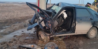 ����� ������ ������� �������� �������� ���������� �������� �����