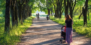 � �������� �������� �������������� 6 ������������ ��������