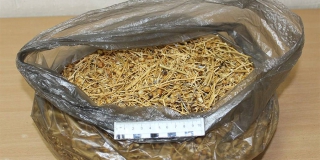 ���������� ��� � ������� ������� ���������� � ����������� ���������