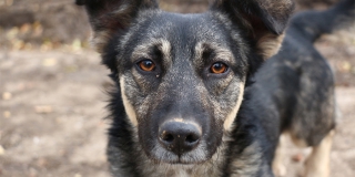 � ��������� ������ �� ���� ����� ������ �������� ������