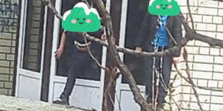 В Ленинском районе дети прыгают по недострою и бросают камни в людей В Ленинском районе дети прыгают по недострою и бросают камни в людей