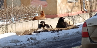 ������� ��������� ���� ������ ���� �������� �����