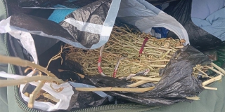 ���������� ������������ � ������ ��������� �� ����������� ������ �����������