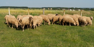 � ������� ������� �� ����� ���������� ������� ����� �������