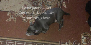 ��������� ��������� � ������������ ����� �������� ������. �������� ������