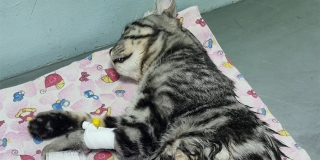 � �������� ���������� ������ ���� ������� ����� �������� ���������� ������