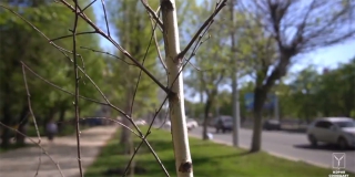 � �������� �� ����� ������ ������� 420 ��������