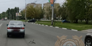 � �������� ��������� �� �������� �� �������� ���� ���� ���������