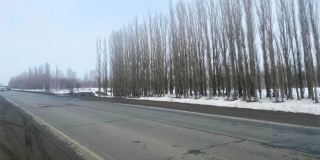 �������� �������� ������� �� ������� ���������-�������� �� ������ ��� ����������