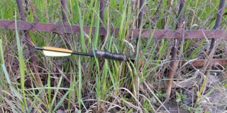 � �������� ��������� ��������� ������� �������� ����� ��������� � ��-2