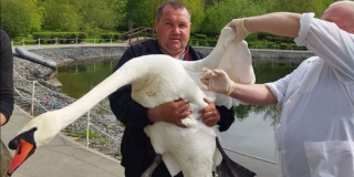 � �������� ������� ������ ���� � ������ �� ����� �� ����� ������� ��������