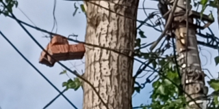 ������ ���������� ������ ��������� ������� �������� � ��������