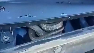 � �������� ���� ��������� � ����� ���������� 