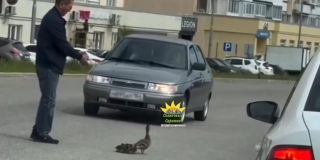 ������ �������� ������� ���� � ������� ����� ������������� �����