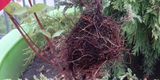 �������� ������������� ������� �������� �� ������� � ��������� ������