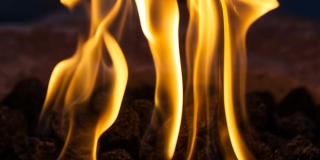 ��������� ���� ���� �� ������ ���������� ���� ��������� ��������