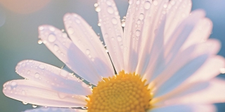 ���������� � �������� ��������������� ��������� ���������� � �����