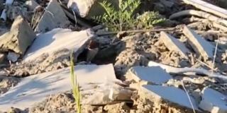 � ����� � ����� ������ ��������� �������� �����