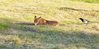 � ��������� � �������� ���� �� ������ ������� ����