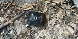 �� �������� ����������� ������� ����� ������ � ���������� � ����������