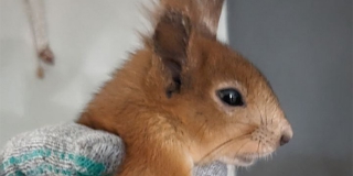 � �������� ����������� ��������� � �����. ������ �������� �� �������