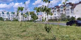 ���������� �������� ������������ ������ ������ ����������� ���� ������