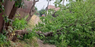 � �������� ���������� � ���������� ������� �� ���������� ����������� �����