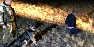 ��� ��������� ��� ���������� ����������� ������� �� ��������� ��������