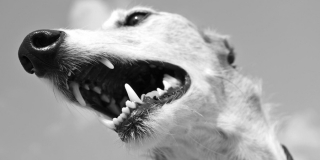 � �������� ����� 28 ������ ��������� ��������� ����� ��������� ��������� ����