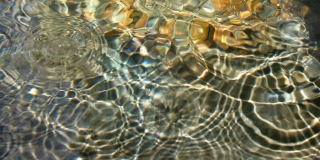 � �������� �� ����� ��� ������� �� ����� ������ ������������������