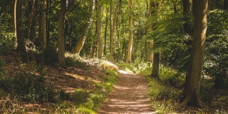 ������ �� ��������� ����� � ����������� ������� �������� ��� �� 21 ����