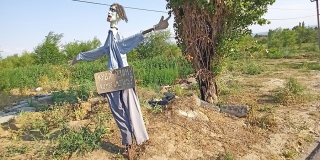 �� ������ � ������� ������� ������ ������ �� ������� � ������