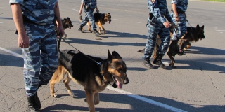 � �������� ������������ ������� � �� ��-�� ������������ ���������