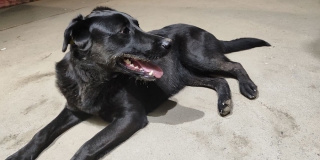 � ��������� ������ ��������� ������ �������� 11-������� �������