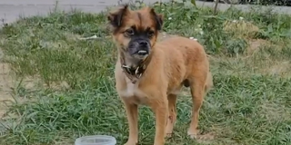 � �������� ����� ������� ������ � ��������� � ���� �� �����