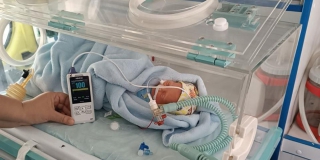 ������ ������������ �� �������� � ������� ������������ ������