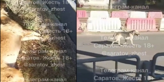 � ��������� ������ �������� ���� ����� � �������� ������� �� ������ � ��������