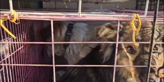 ��������� ������� ����� �� ������ � ����������� �������