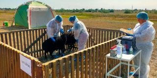 � ����������� ������� ������������� ������������� ����� ����� ������� ��������